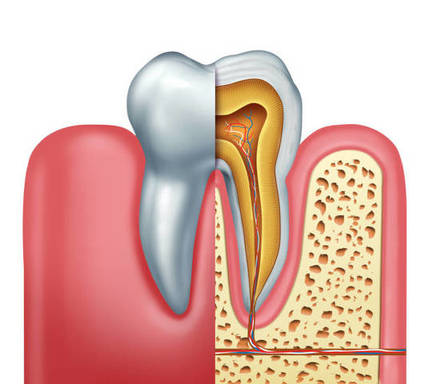 istockphoto-924927726-612x612.jpg