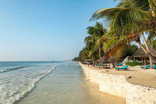 istockphoto-2175765592-612x612.jpg