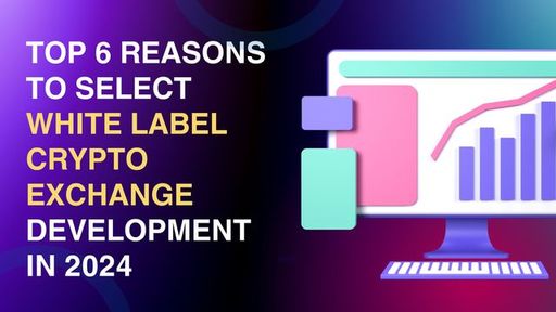 Top 6 Reasons to select White Label Crypto Exchang