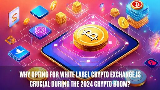 Why Opting for White Label Crypto Exchange Is Cruc